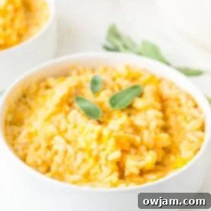 Butternut Squash Sage Risotto 1200 x 1200