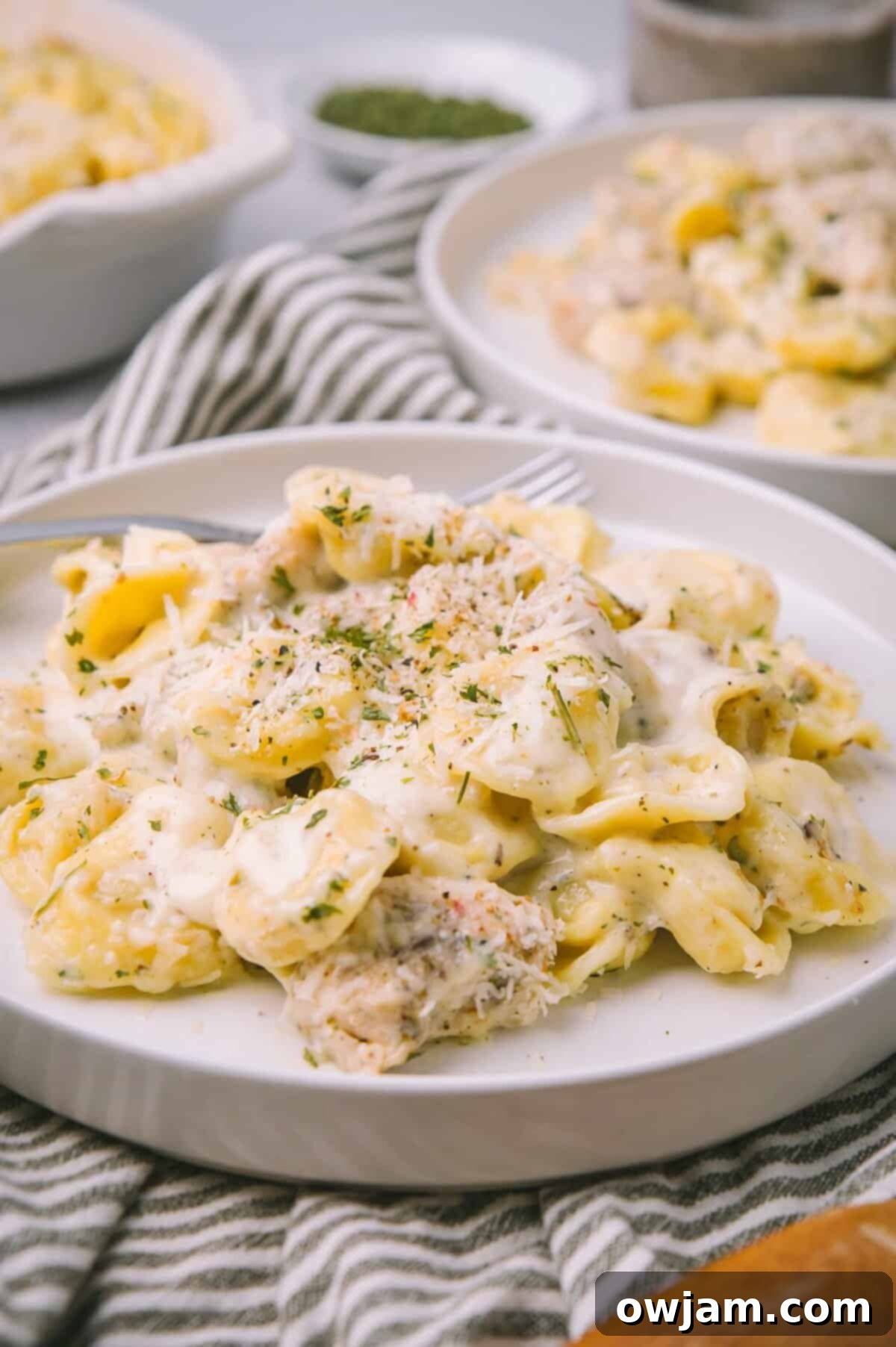 A white plate filled with Olive Garden Chicken Tortellini Alfredo, ready to be served.