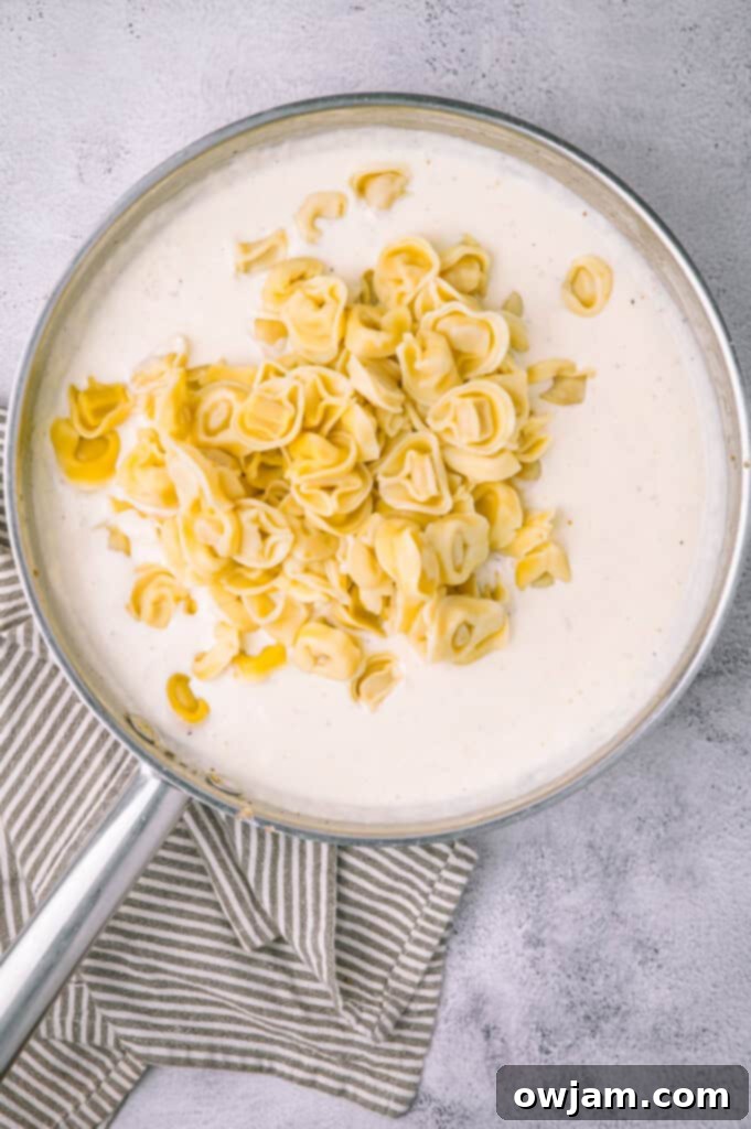 Cooked tortellini being added to the creamy Alfredo sauce in a skillet.