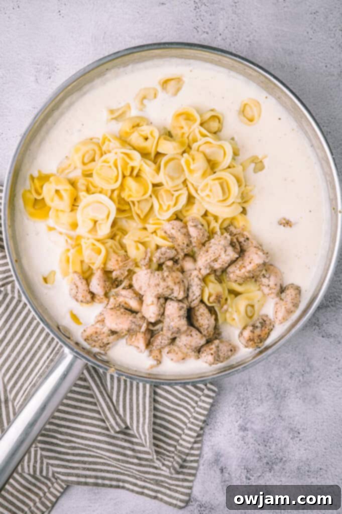 A mix of cooked chicken and tortellini being tossed in Alfredo sauce in a large pan.