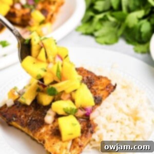 Deliciously Easy Blackened Cod 12 Easy Blackened Cod 1200 x 1200