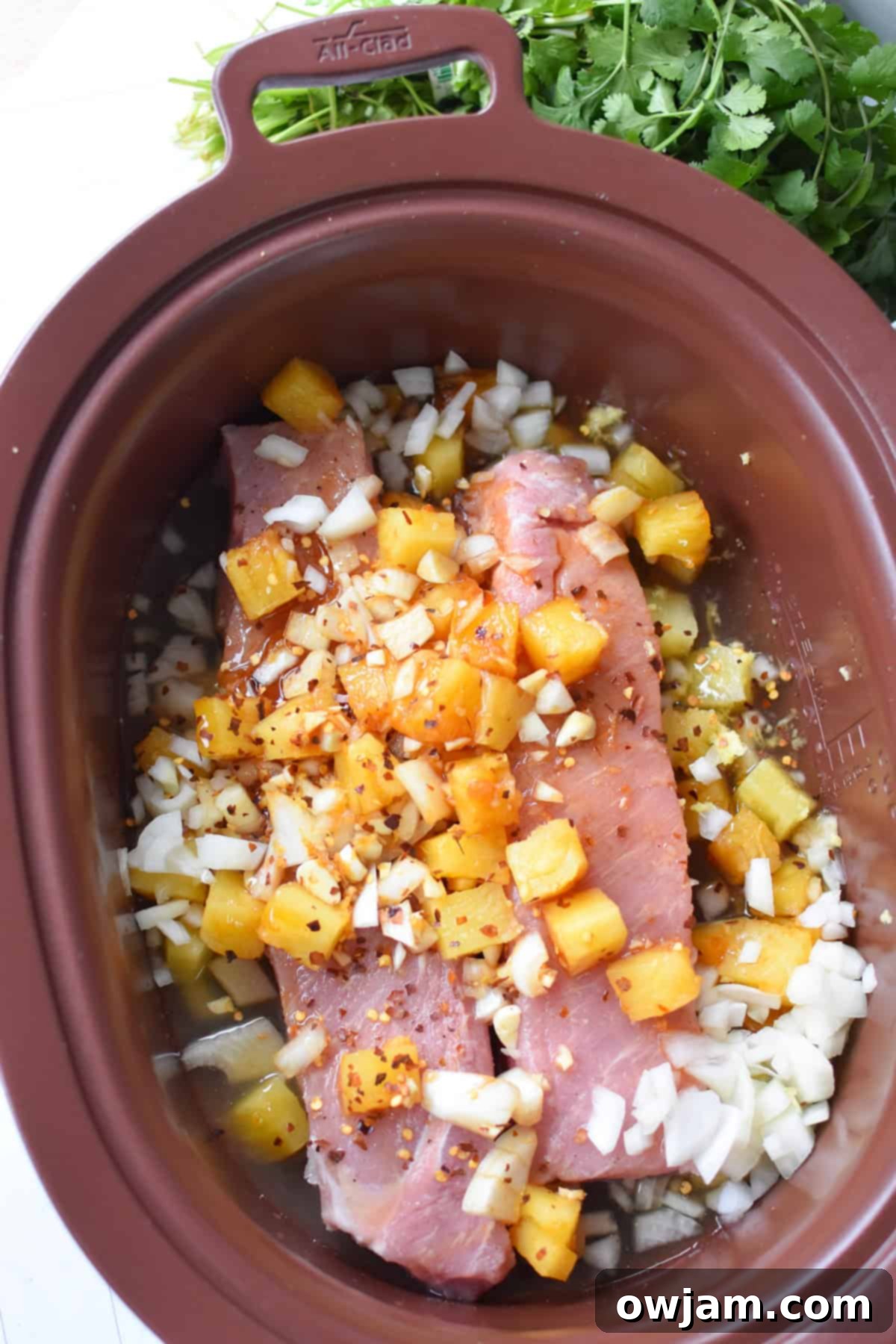 Hawaiian Pineapple Pork 6 Slow Cooker Pineapple Pork Loin in a crockpot