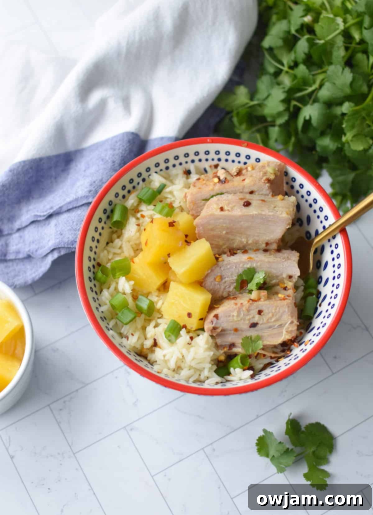 Hawaiian Pineapple Pork 7 Slow Cooker Pineapple Pork Loin with fork