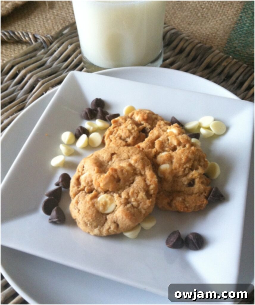 Delicious Peanut Butter Oatmeal Two Chip Cookies served on a white plate, showcasing their golden-brown edges and melted chocolate chips