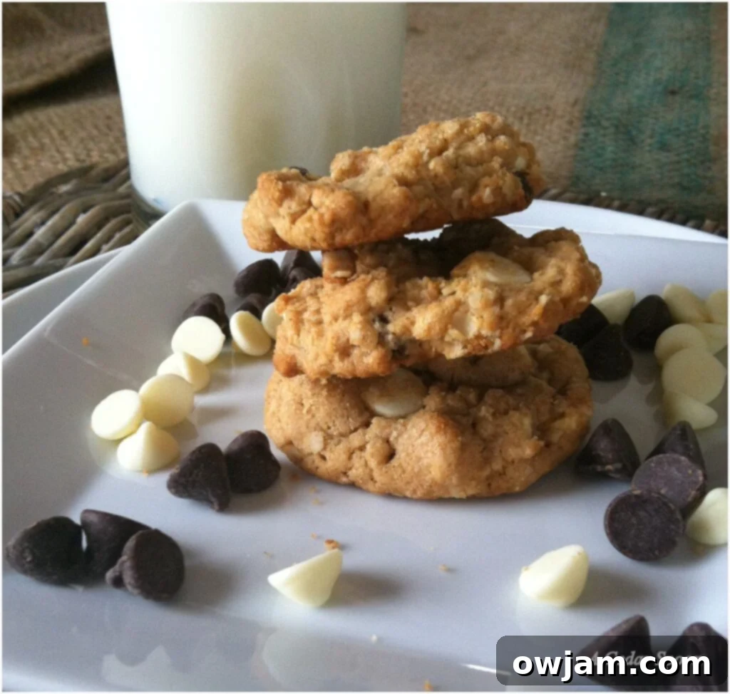 Three close-up Peanut Butter Oatmeal Two Chip Cookies with rich texture and visible chocolate pieces