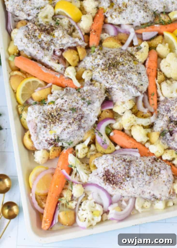 One Pan Zaatar Chicken 12 Sheet Pan Za’atar Chicken on sheet pan