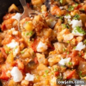 Skillet Tomato and Eggplant 1200 x 1200
