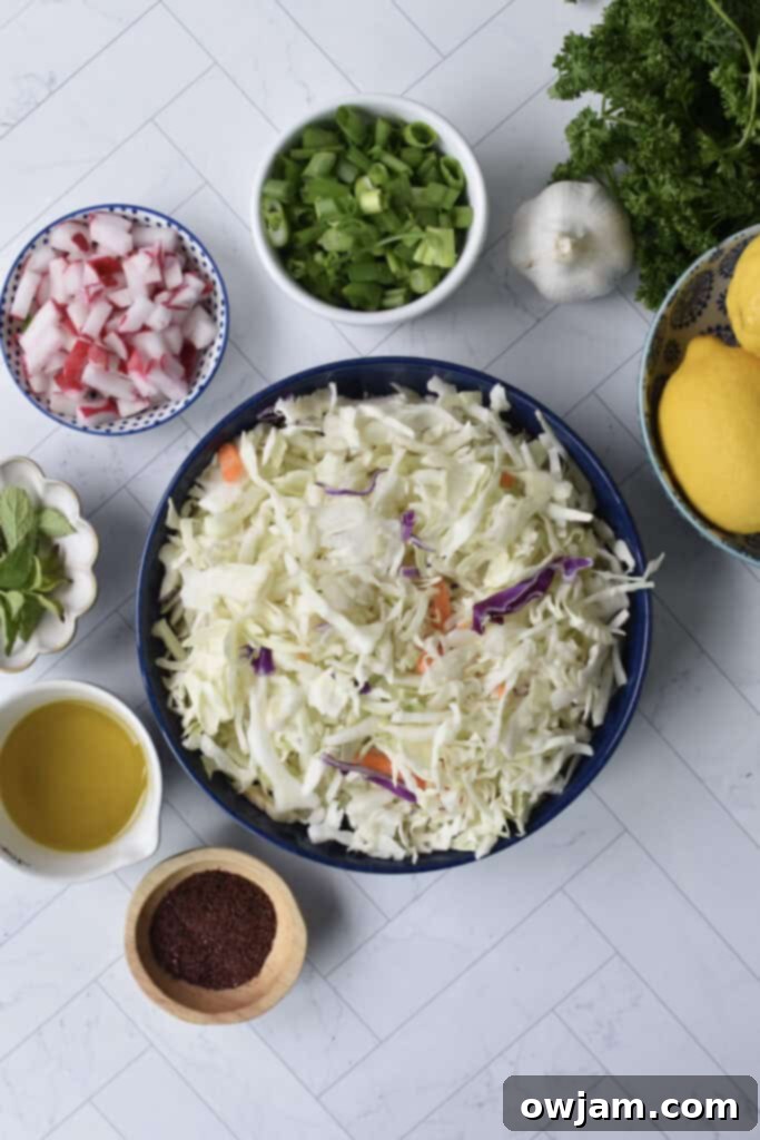 Tangy Malfouf Cabbage Salad 3 Malfouf Salad recipe ingredients