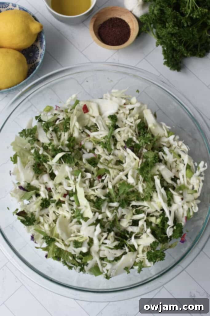 Tangy Malfouf Cabbage Salad 7 Malfouf Salad with herbs in a bowl