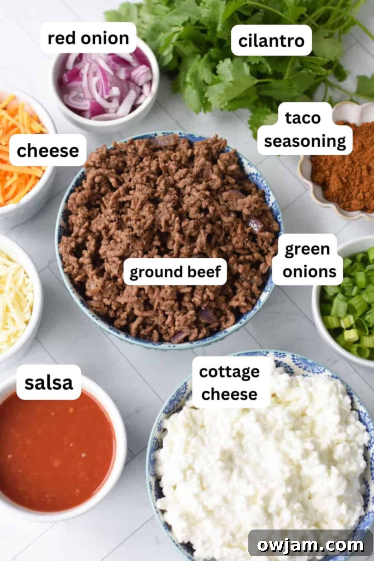 Beefy Cottage Cheese Queso 3 Cottage Cheese Queso recipe ingredients in bowls