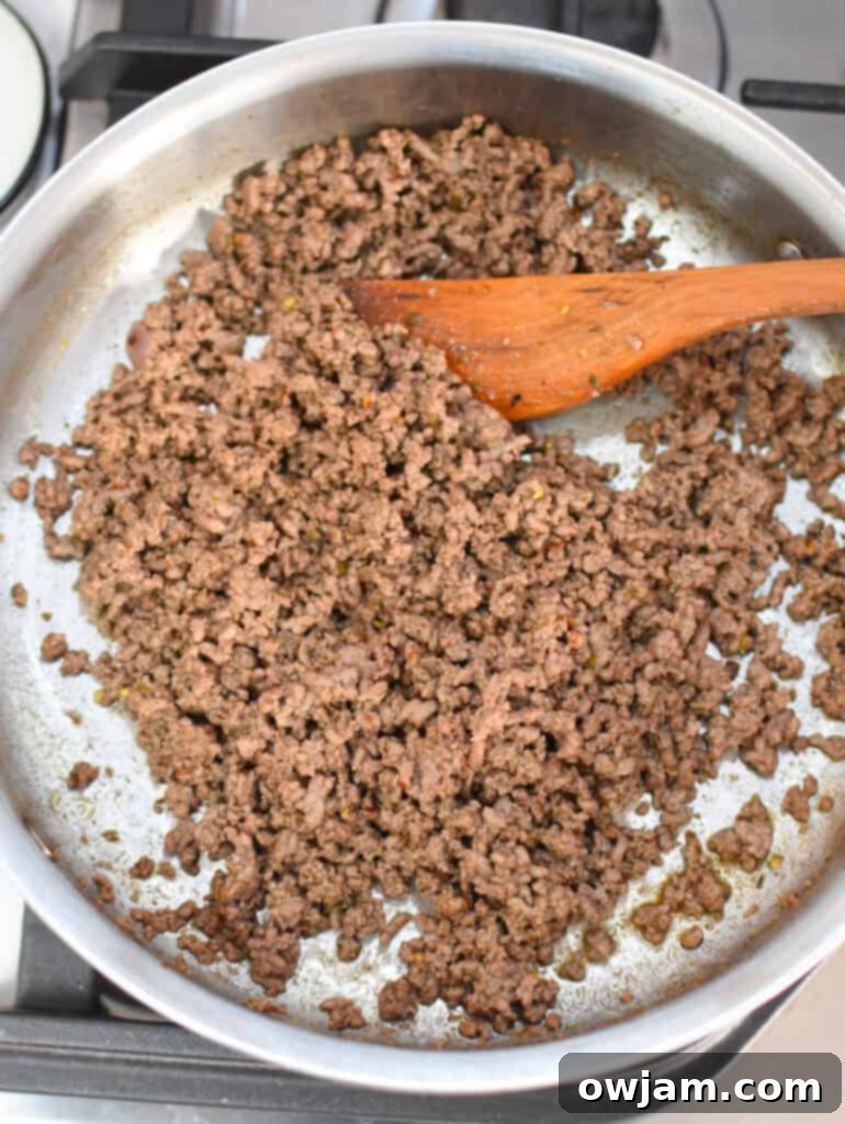 Beefy Cottage Cheese Queso 6 img 77560 5