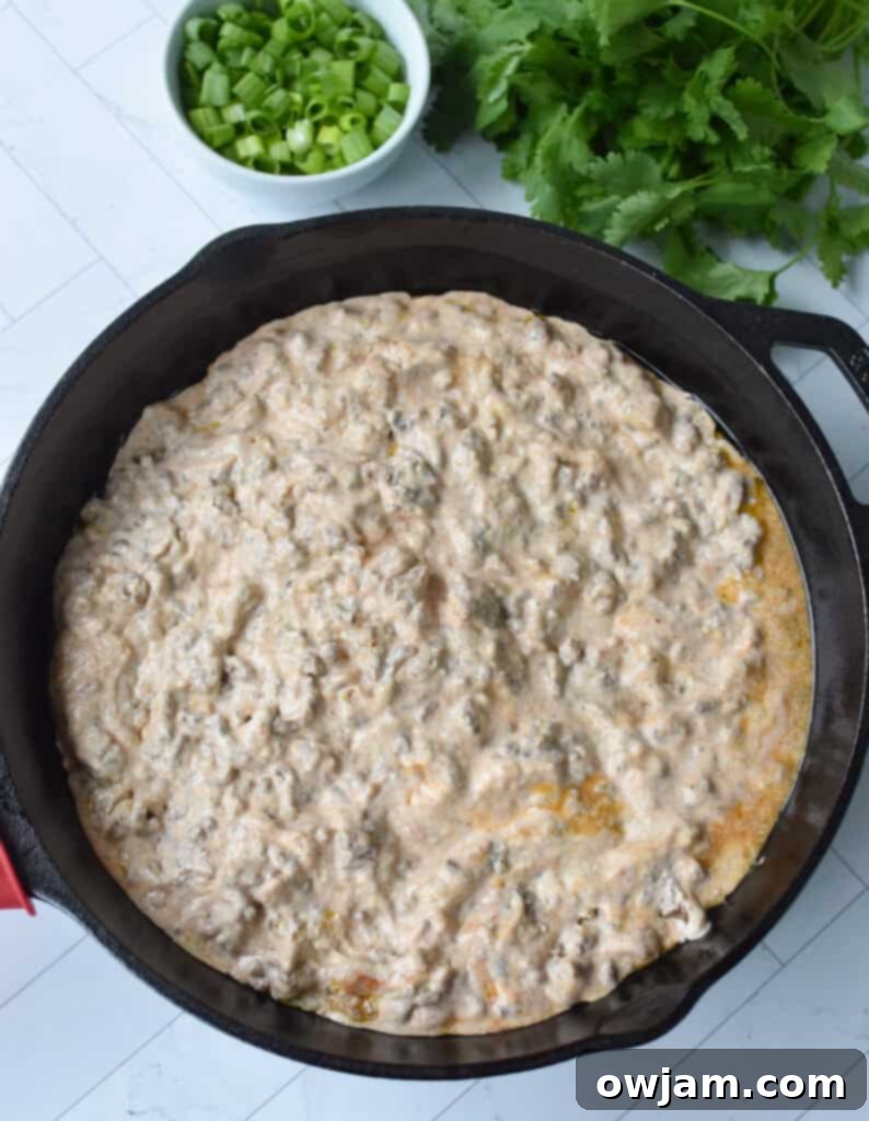 Beefy Cottage Cheese Queso 7 Ground beef and cheese queso in a cast iron skillet.