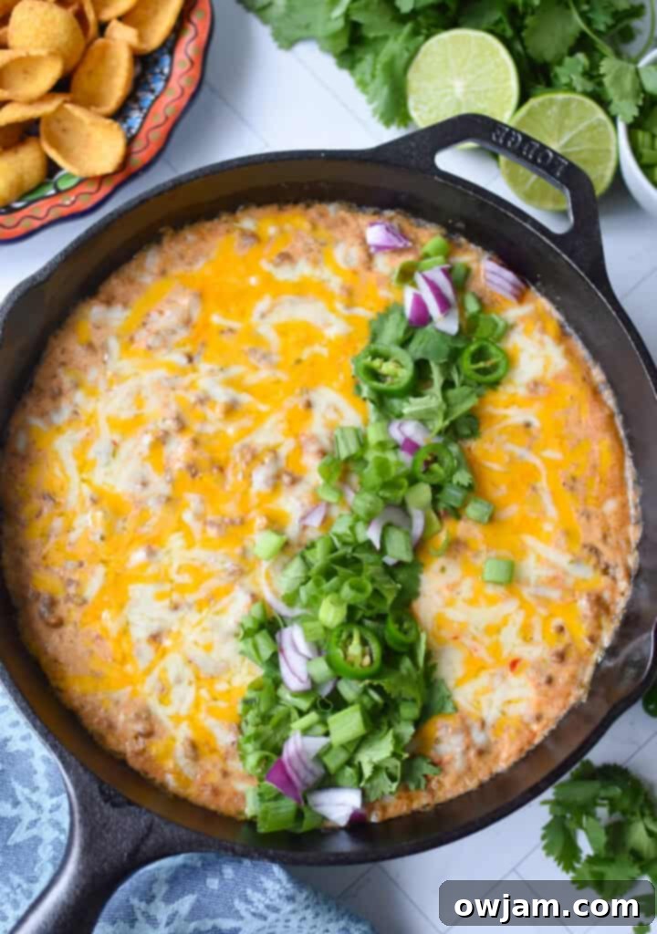 Beefy Cottage Cheese Queso 9 Ground beef and cheese melted in a cast iron skillet with fresh cilantro, green onion and red onion.