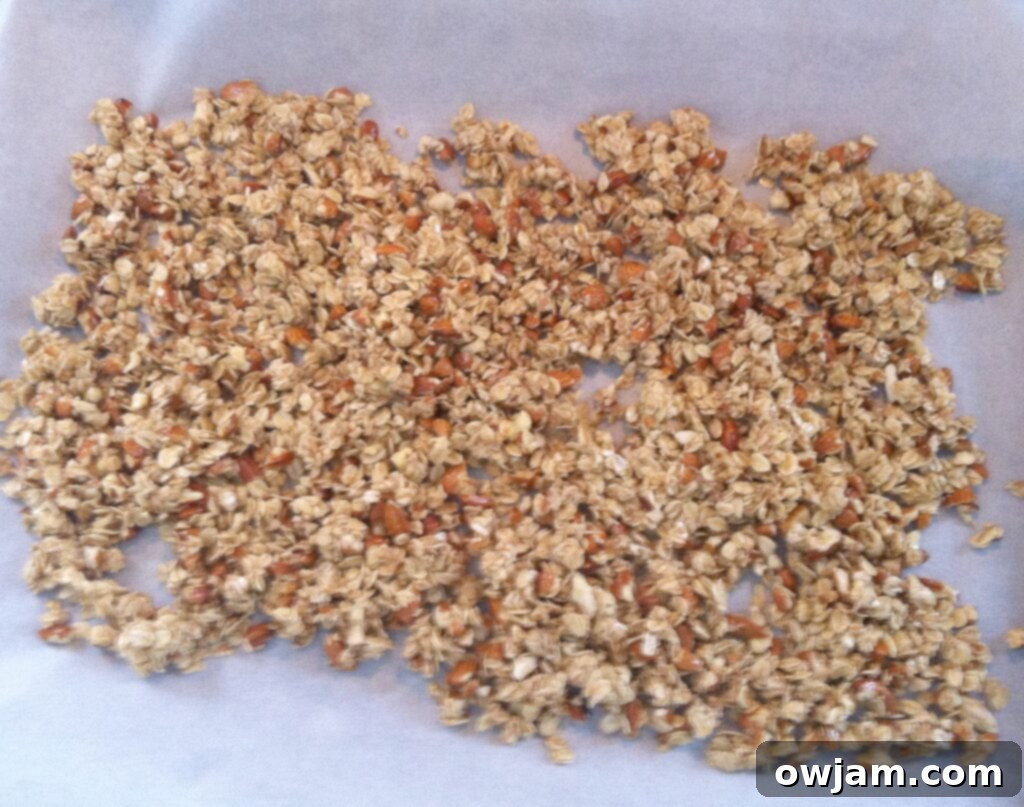 Crafting Delicious Granola from Scratch 6 Ingredients for Homemade Granola laid out before mixing, including oats, nuts, and dried fruit.