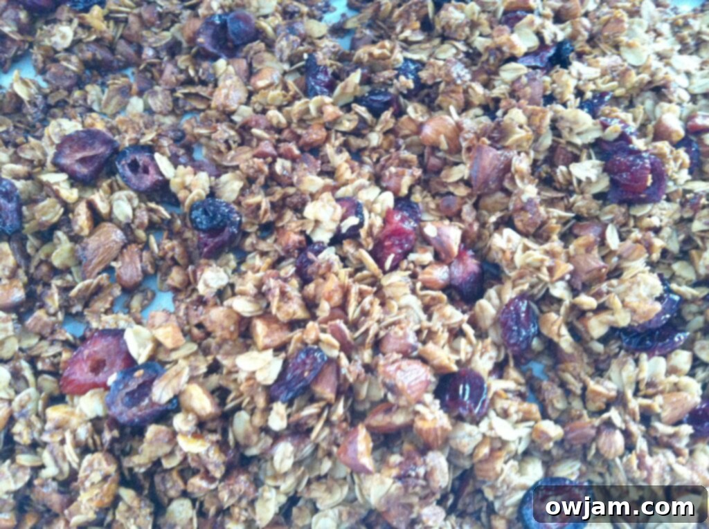 Crafting Delicious Granola from Scratch 7 Freshly baked Homemade Granola with dried cranberries, served with milk and berries.