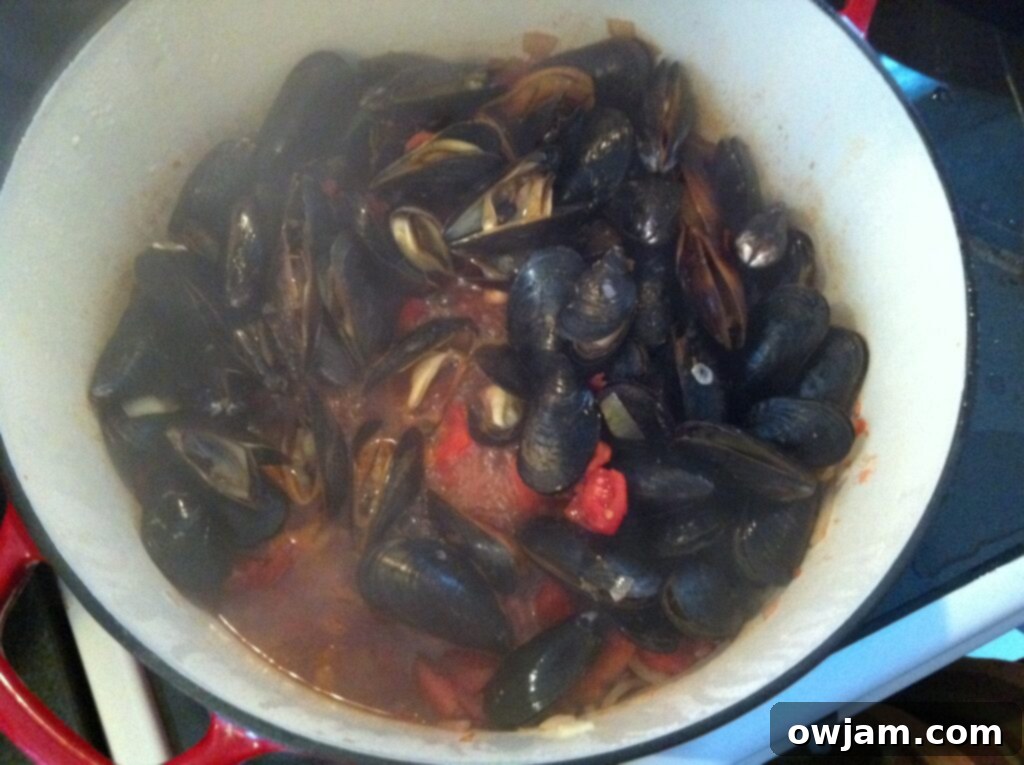 steaming mussels - Mussels With Smoked Spanish Paprika