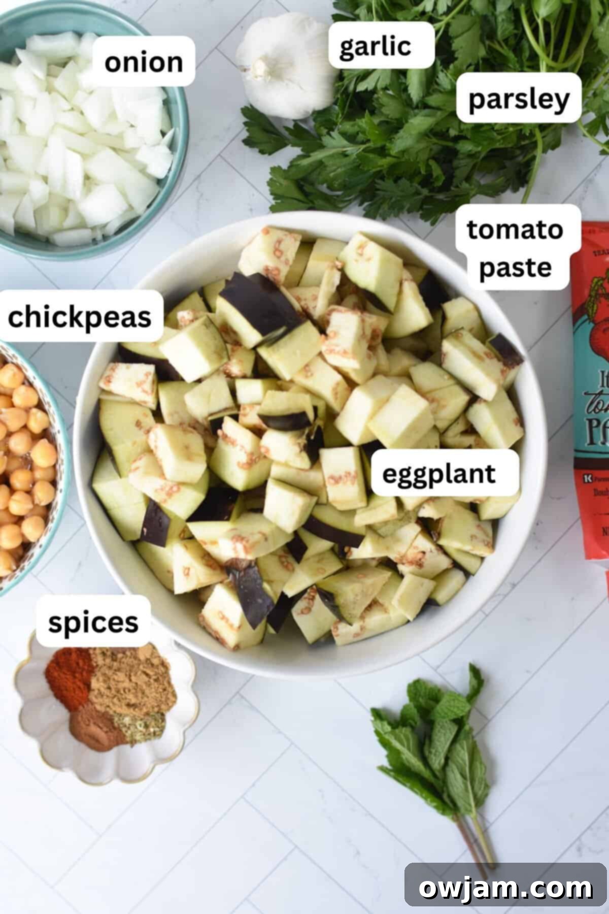 Lebanese Moussaka Maghmour 3 Fresh ingredients laid out for Lebanese Moussaka, including eggplant, tomatoes, chickpeas, onions, garlic, and an array of vibrant spices.