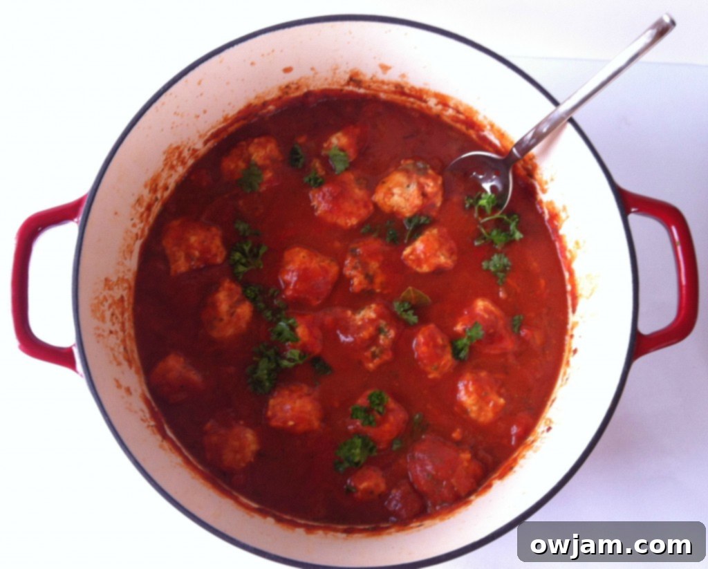 Turkey and Carrot Meatballs