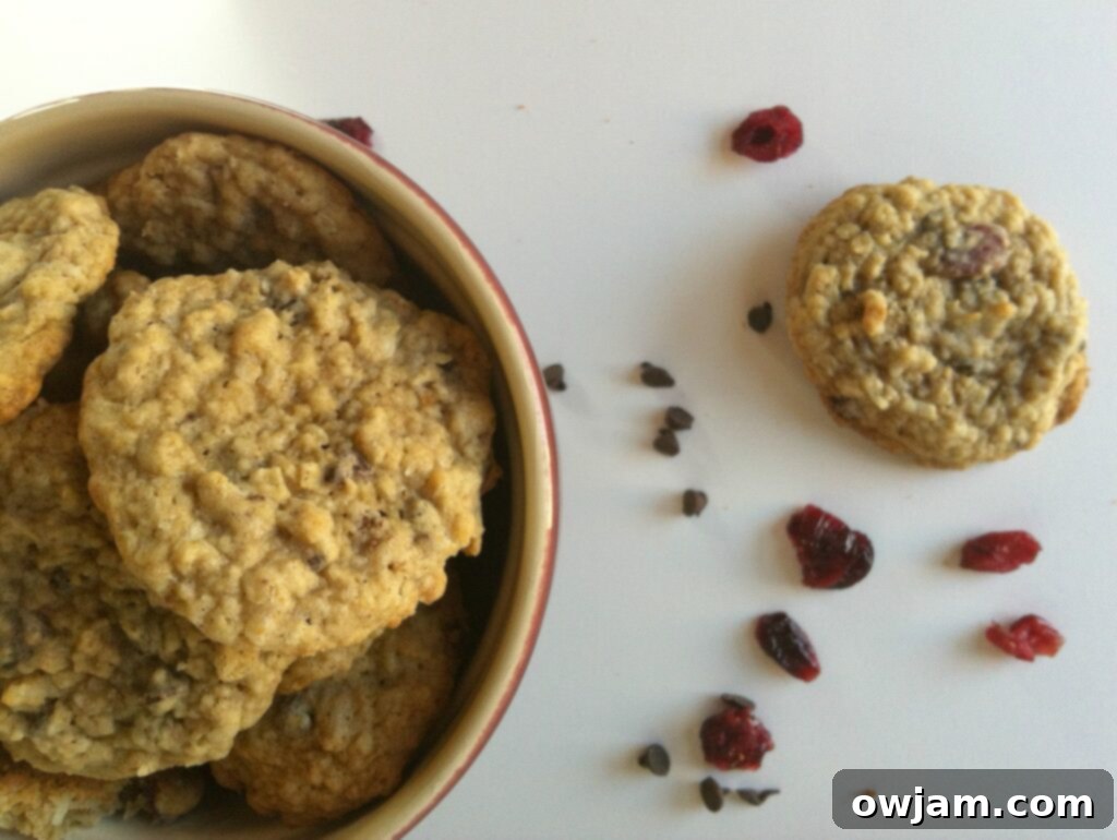 Mom's Loaded Oatmeal Cookies 2 Deliciously chewy Loaded Oatmeal Cookies with cranberries, chocolate chips, coconut, and raisins