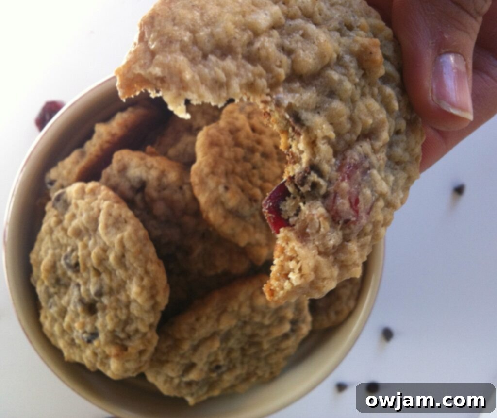 Mom's Loaded Oatmeal Cookies 4 A stack of golden brown, yummy Loaded Oatmeal Cookies on a cooling rack