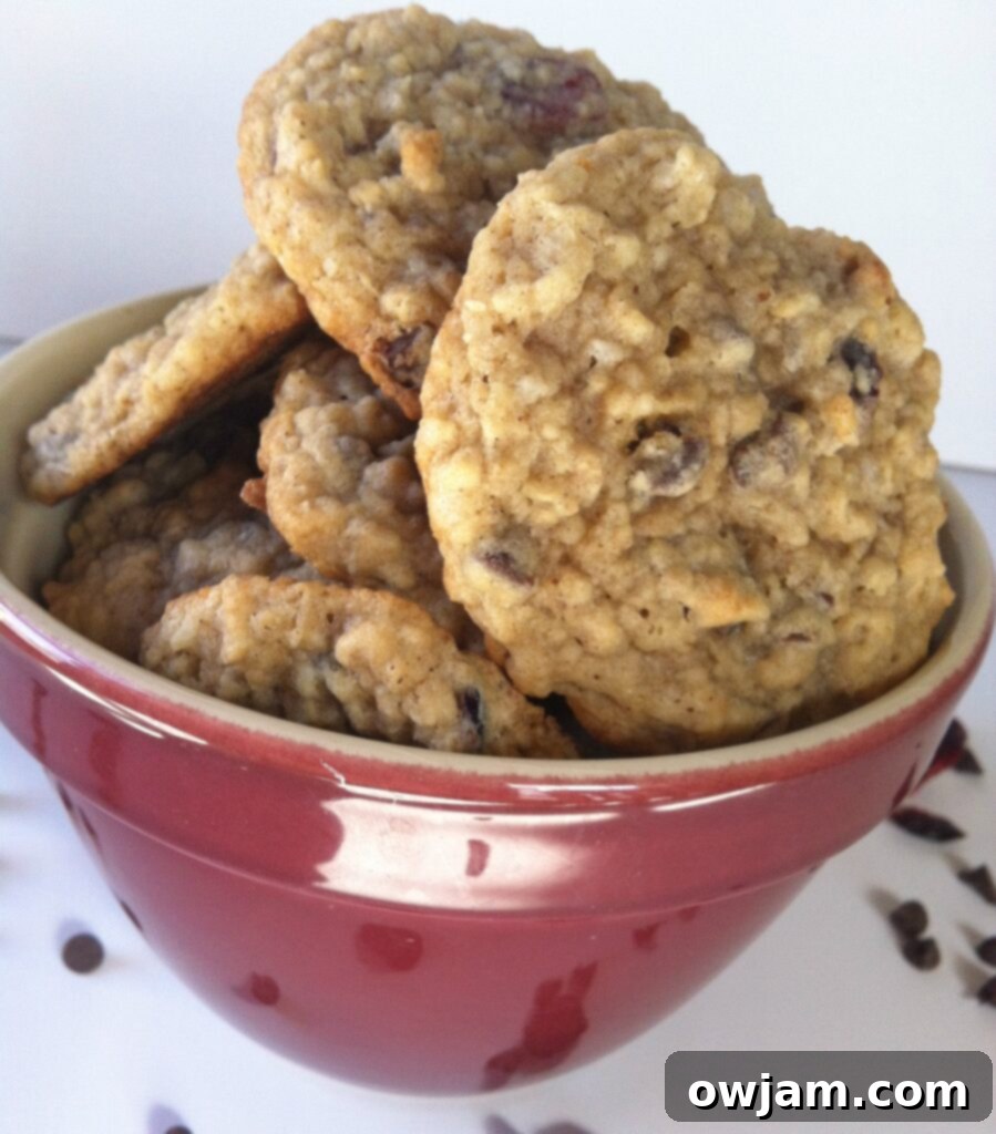 Mom's Loaded Oatmeal Cookies 5 A rustic bowl overflowing with homemade Loaded Oatmeal Cookies, perfect for sharing
