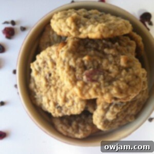 Mom's Loaded Oatmeal Cookies 6 Close-up of a single Loaded Oatmeal Cookie with visible oats and mix-ins