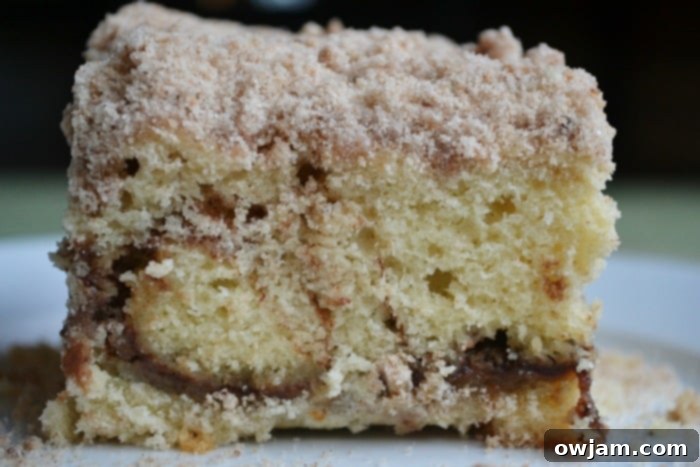 Decadent Cinnamon Swirl Coffee Cake 8 A perfectly baked slice of Cinnamon Swirl Coffee Cake showing the distinct cinnamon swirl.