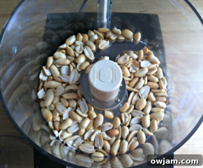 Peanuts poured into a food processor, ready to be ground into homemade peanut butter.