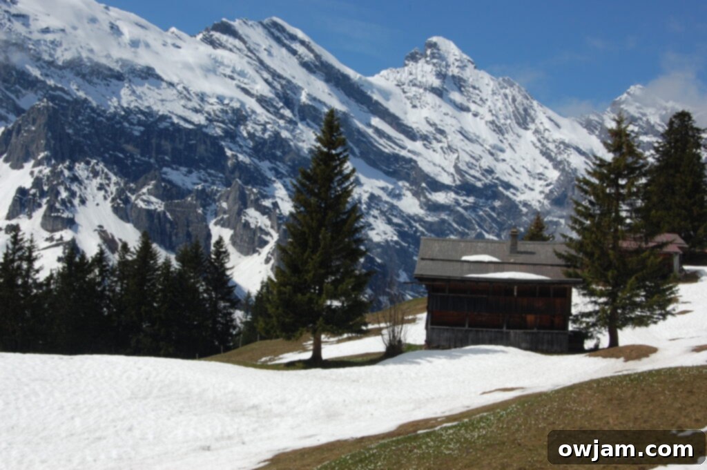 Panoramic view of Interlaken, Switzerland, nestled between two lakes with majestic mountains in the background.