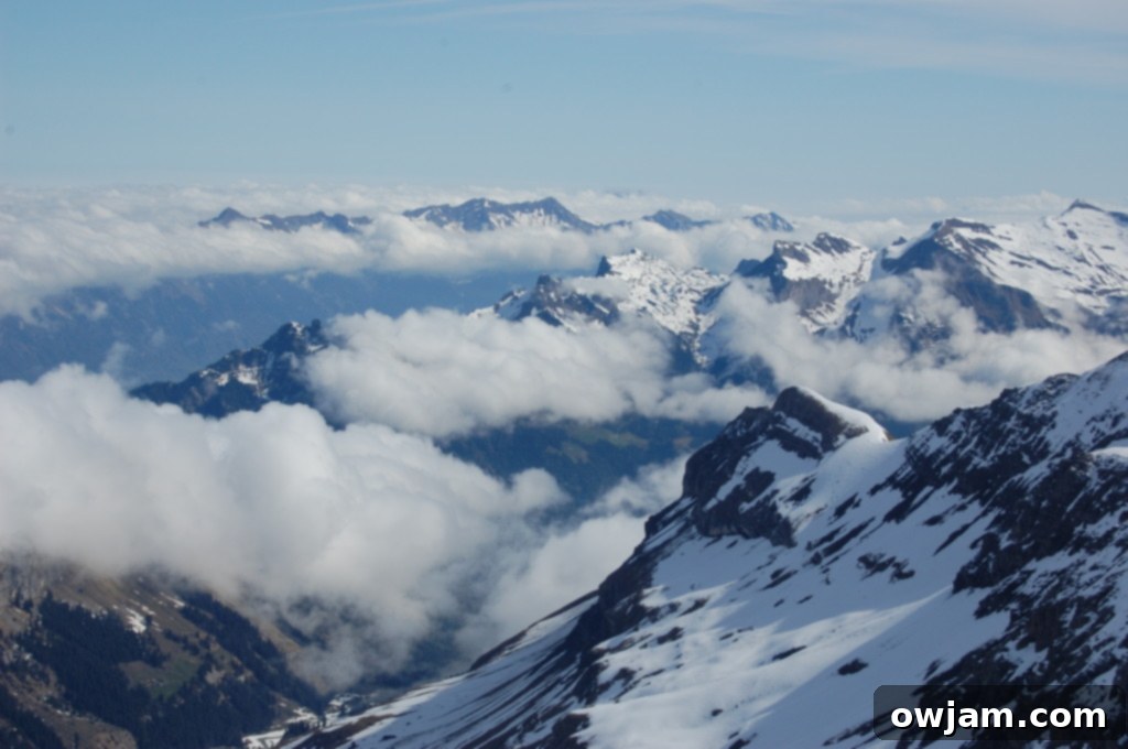 Panoramic view from Schilthorn, showcasing the vast expanse of the Swiss Alps on a clear day.