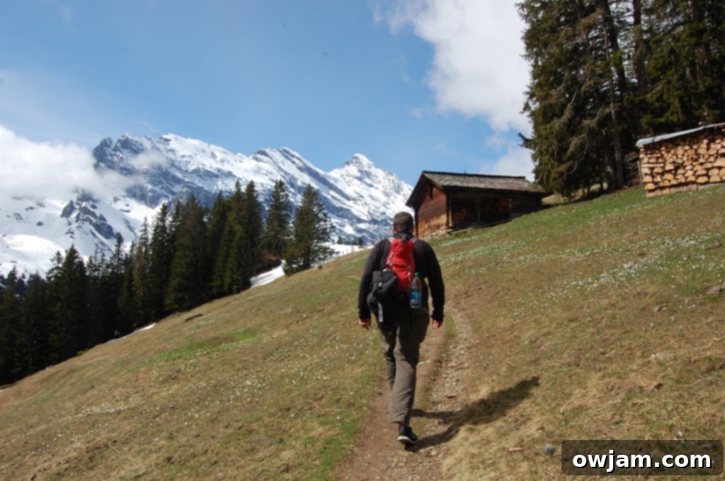 A picturesque hiking path leading through vibrant green landscapes towards the Swiss Alps.