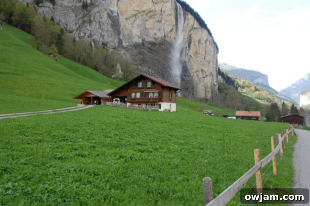 A charming traditional Swiss Chalet nestled in the verdant alpine landscape.