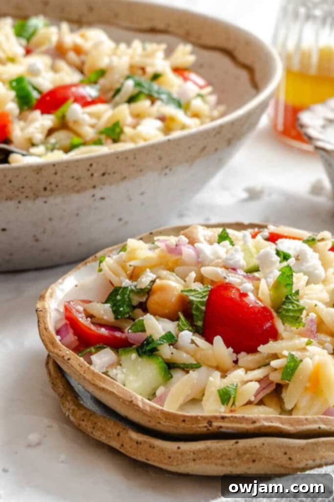 A small plate of Summer Orzo Pasta Salad, ready to be enjoyed.