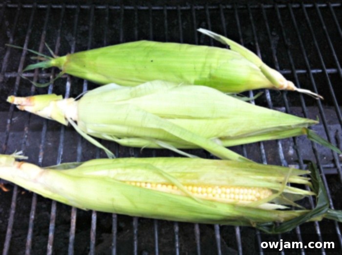 Grilled Corn cobs for making delicious Grilled Corn Salsa