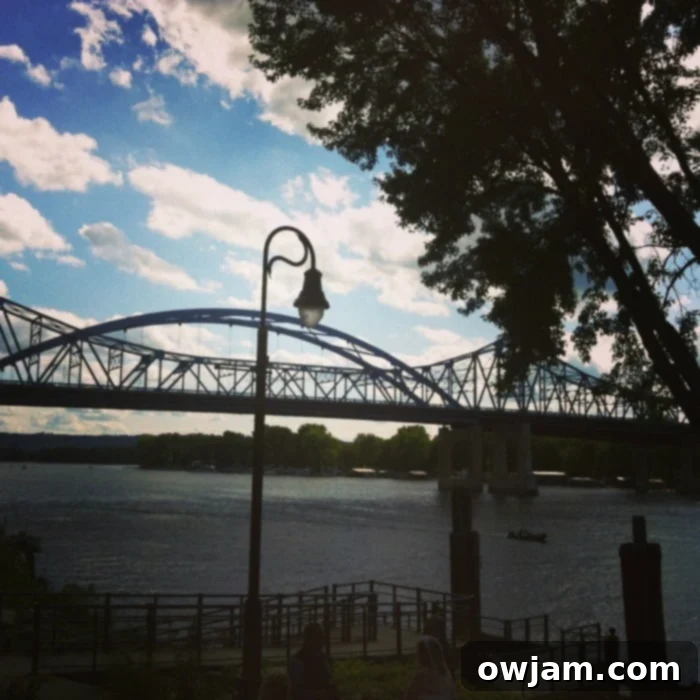 Scenic view of the Mississippi River in LaCrosse, Wisconsin, providing a beautiful backdrop for a wedding and inspiring a delicious Lemon Dill Salmon recipe.