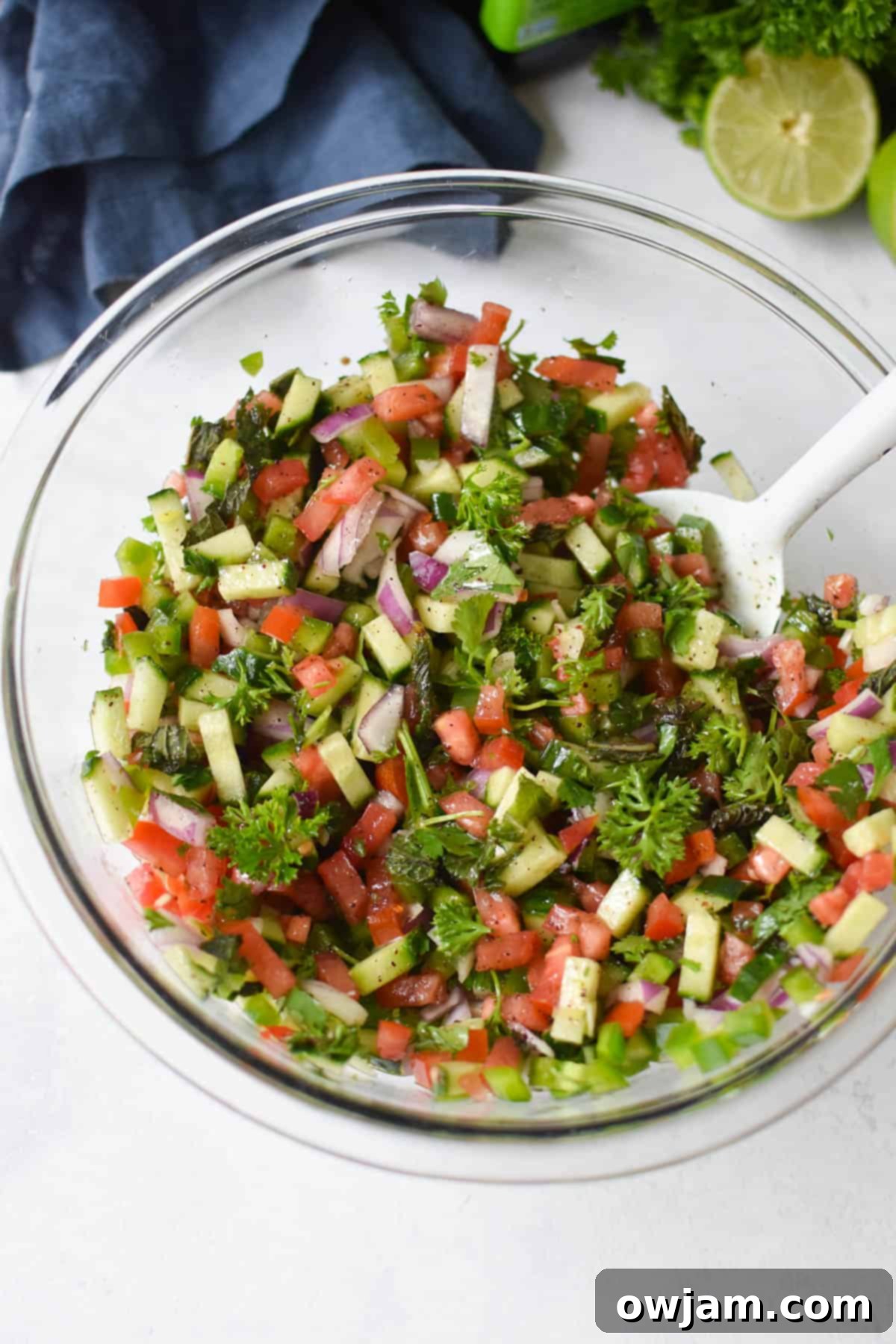 Shirazi Salad Recipe with dressing 