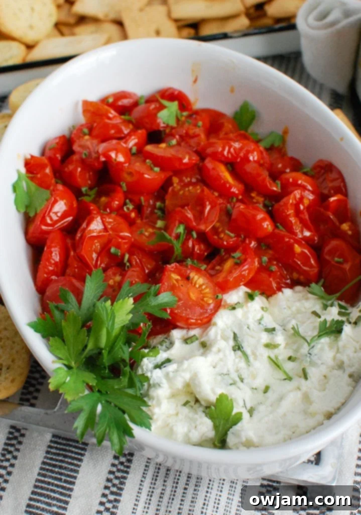 Roasted Tomato and Creamy Goat Cheese Dip 2 Creamy Goat Cheese Dip with roasted cherry tomatoes in a white baking dish, ready to be served.
