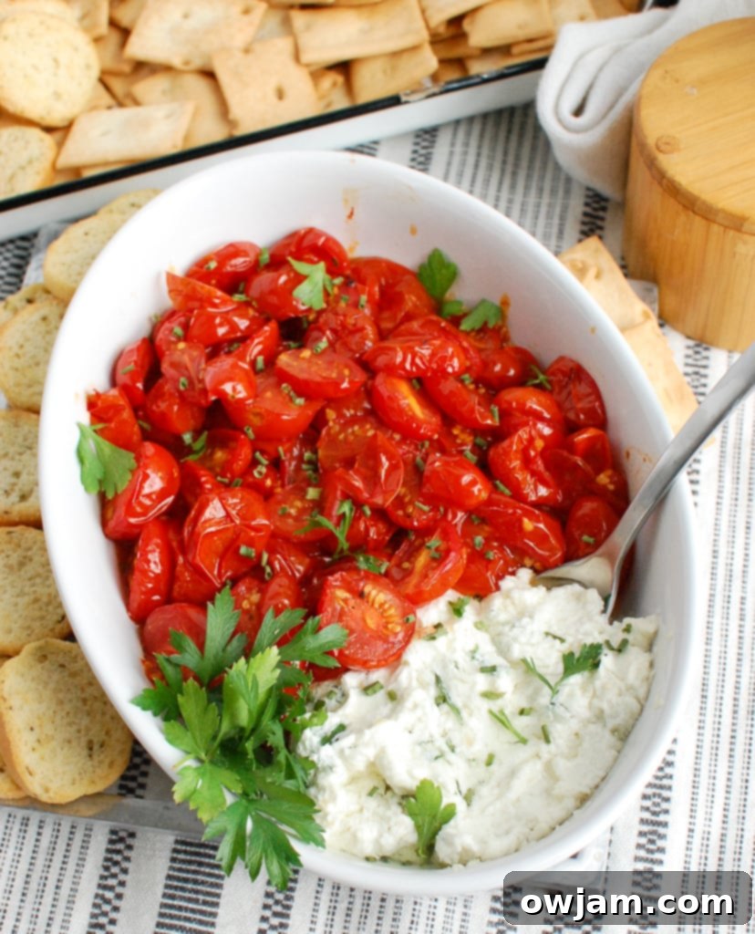 Roasted Tomato and Creamy Goat Cheese Dip 3 Goat Cheese and Roasted Tomato Dip served in a white dish with a spoon, garnished with fresh herbs.