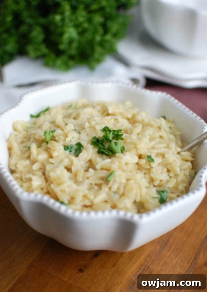 4 Ingredient Cheesy Orzo - a delicious and easy slow cooker side dish