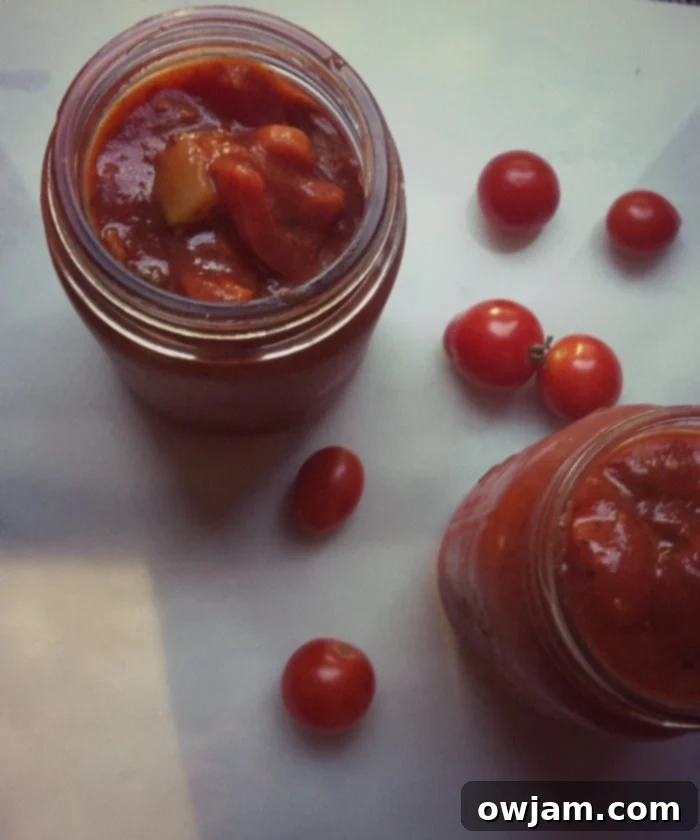 Delicious Slow Roasted Tomato Sauce in a bowl, ready to serve or store.