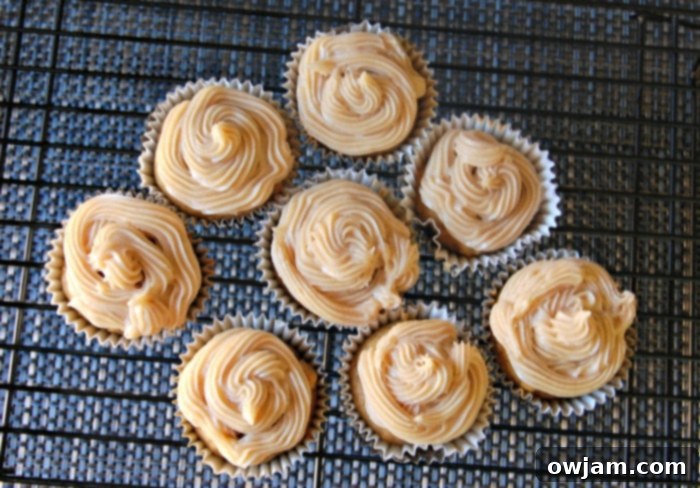 cupcakes - Delicious Pumpkin Cupcakes with Maple Cinnamon Cream Cheese Frosting, ready to serve