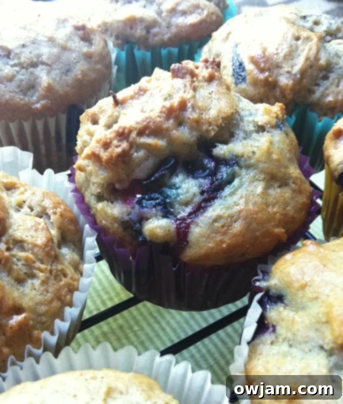 Close-up of freshly baked Cinnamon Yogurt Blueberry Muffins with a crumbly streusel topping, showcasing their golden-brown hue.