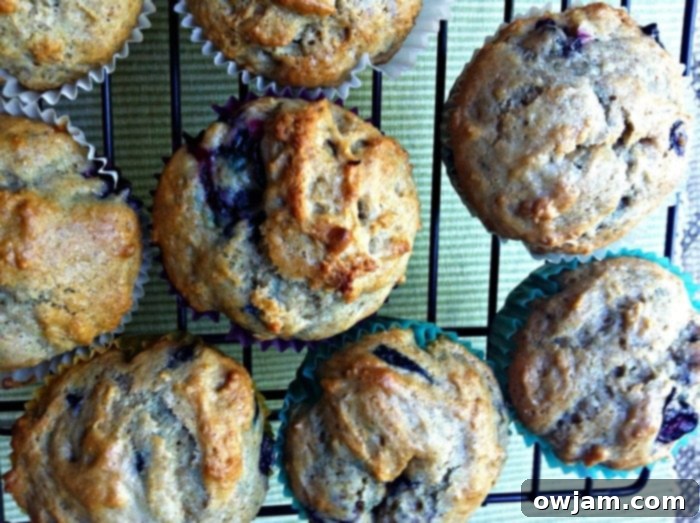 A plate of freshly baked Cinnamon Yogurt Blueberry Muffins, perfectly golden and ready to be enjoyed for breakfast or brunch.