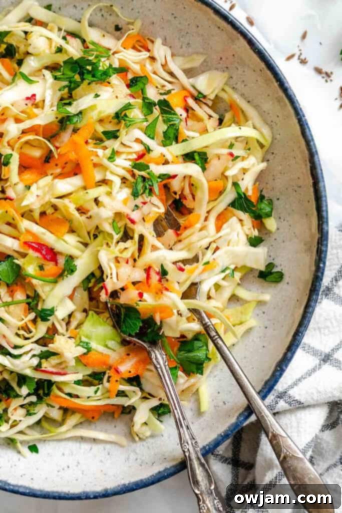 Lightened Up Coleslaw 2 Healthy Coleslaw in a rustic bowl, showcasing its fresh ingredients and vibrant colors.