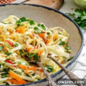 Lightened Up Coleslaw 14 Healthy Coleslaw 1200 x 1200