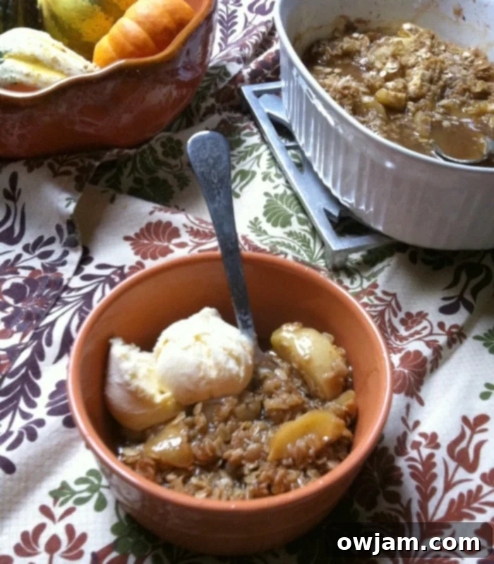 bowl of Apple Crisp 