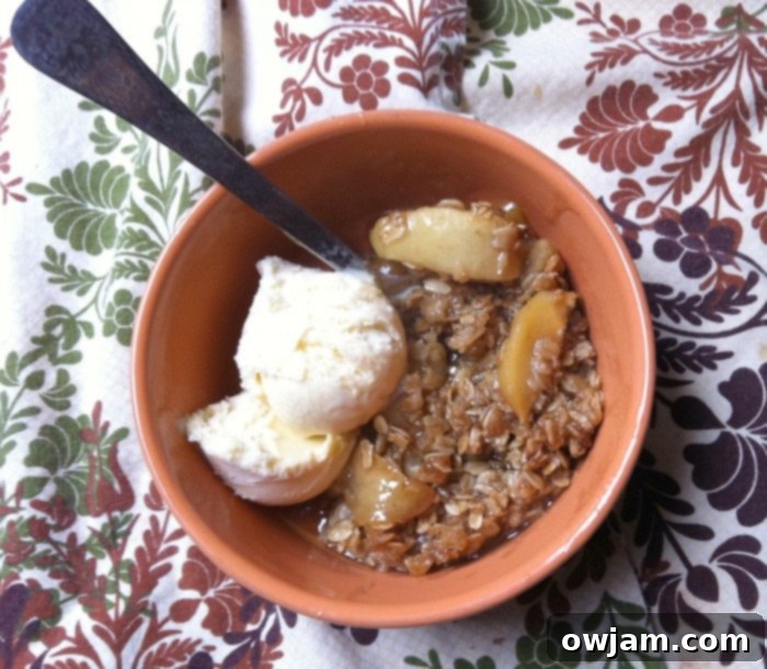 Apple Crisp with ice cream