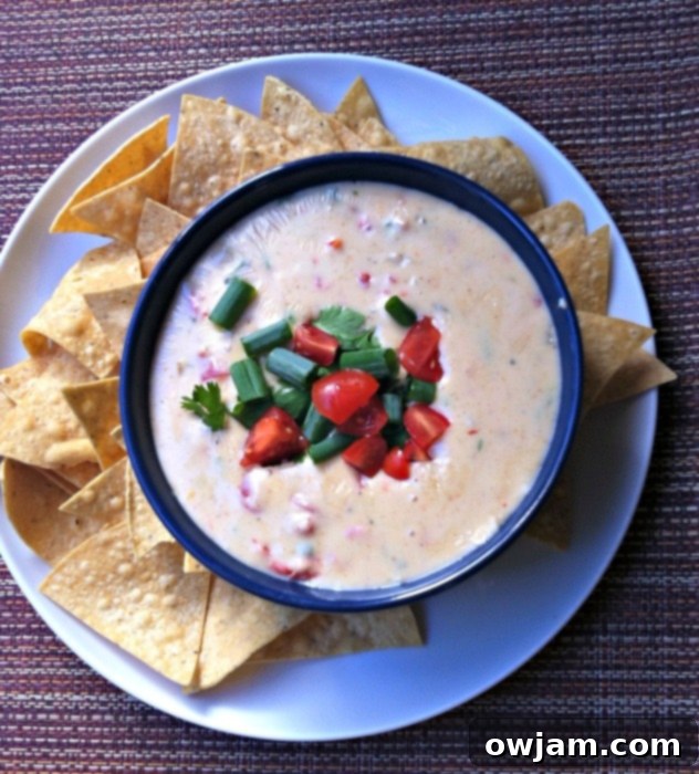 Irresistible Queso Blanco Dip 2 Queso Blanco Dip recipe from A Cedar Spoon