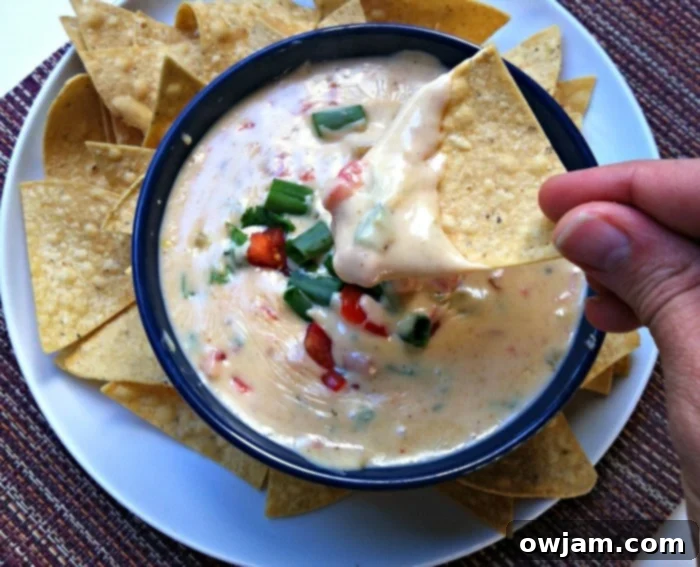 Irresistible Queso Blanco Dip 3 Queso Blanco Dip recipe