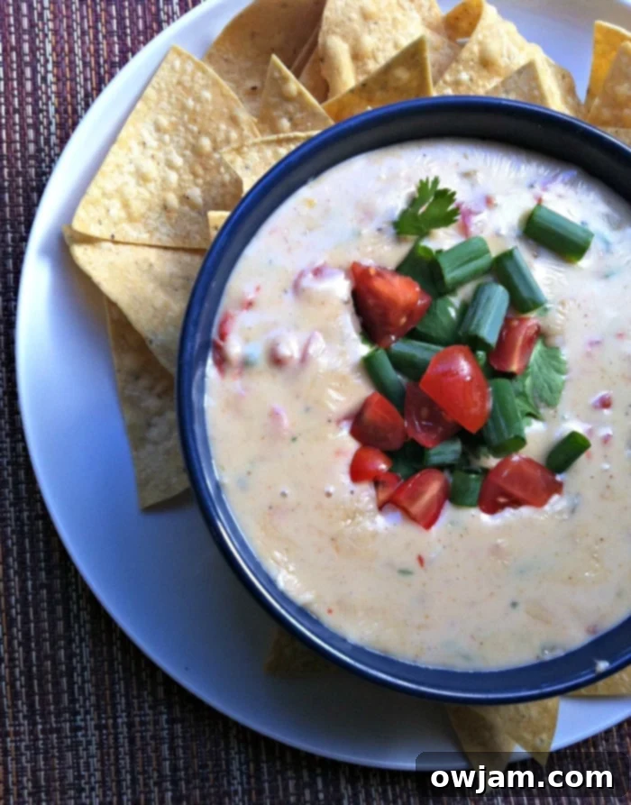 Irresistible Queso Blanco Dip 4 Queso Blanco Dip - cheese dip